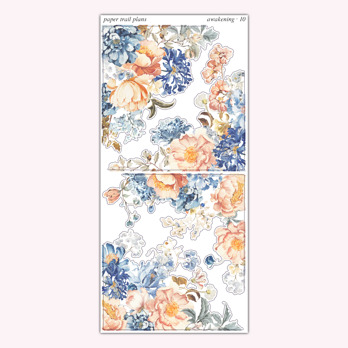 Awakening Journaling Collection