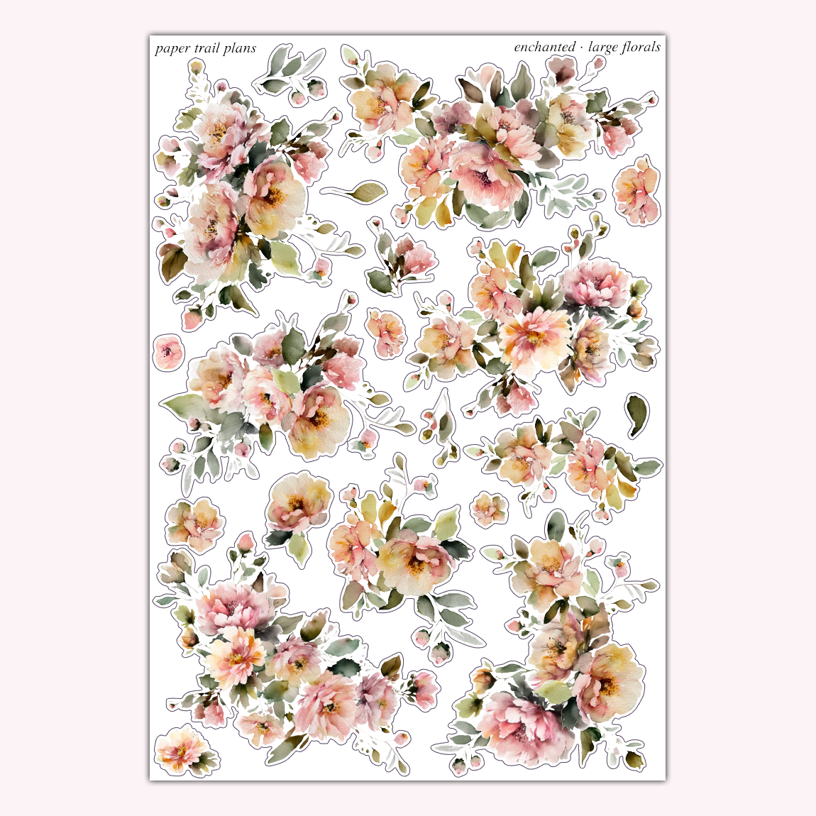 Enchanted - Large Florals