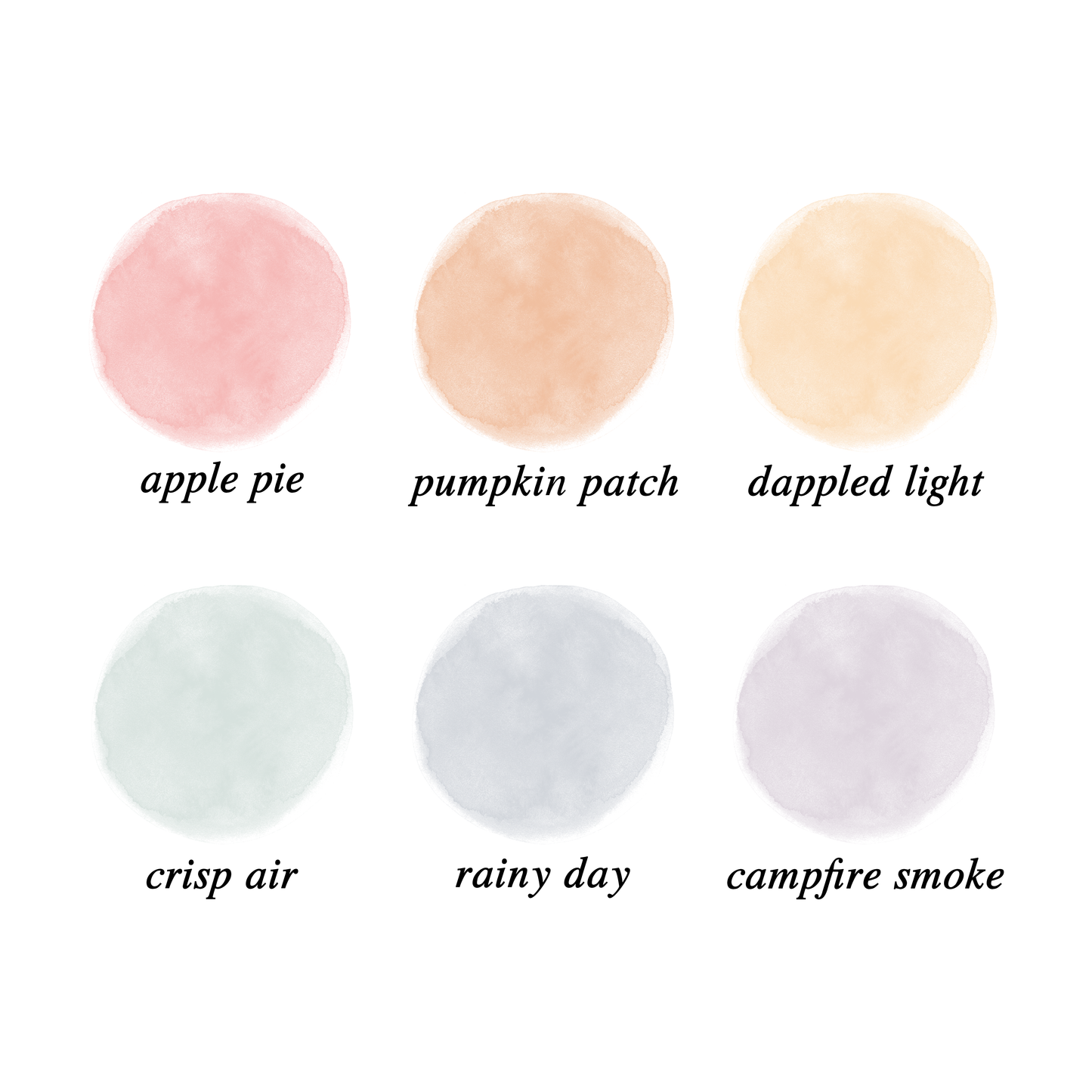 Lace Doilies - Autumn Palette