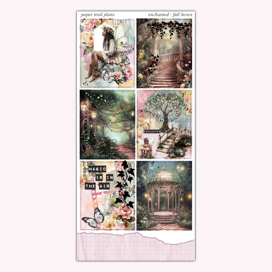 Enchanted - Full Boxes