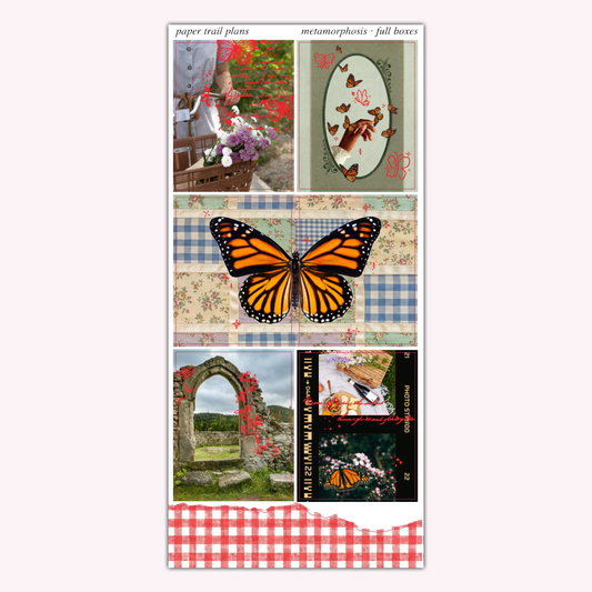 Metamorphosis - Full Boxes