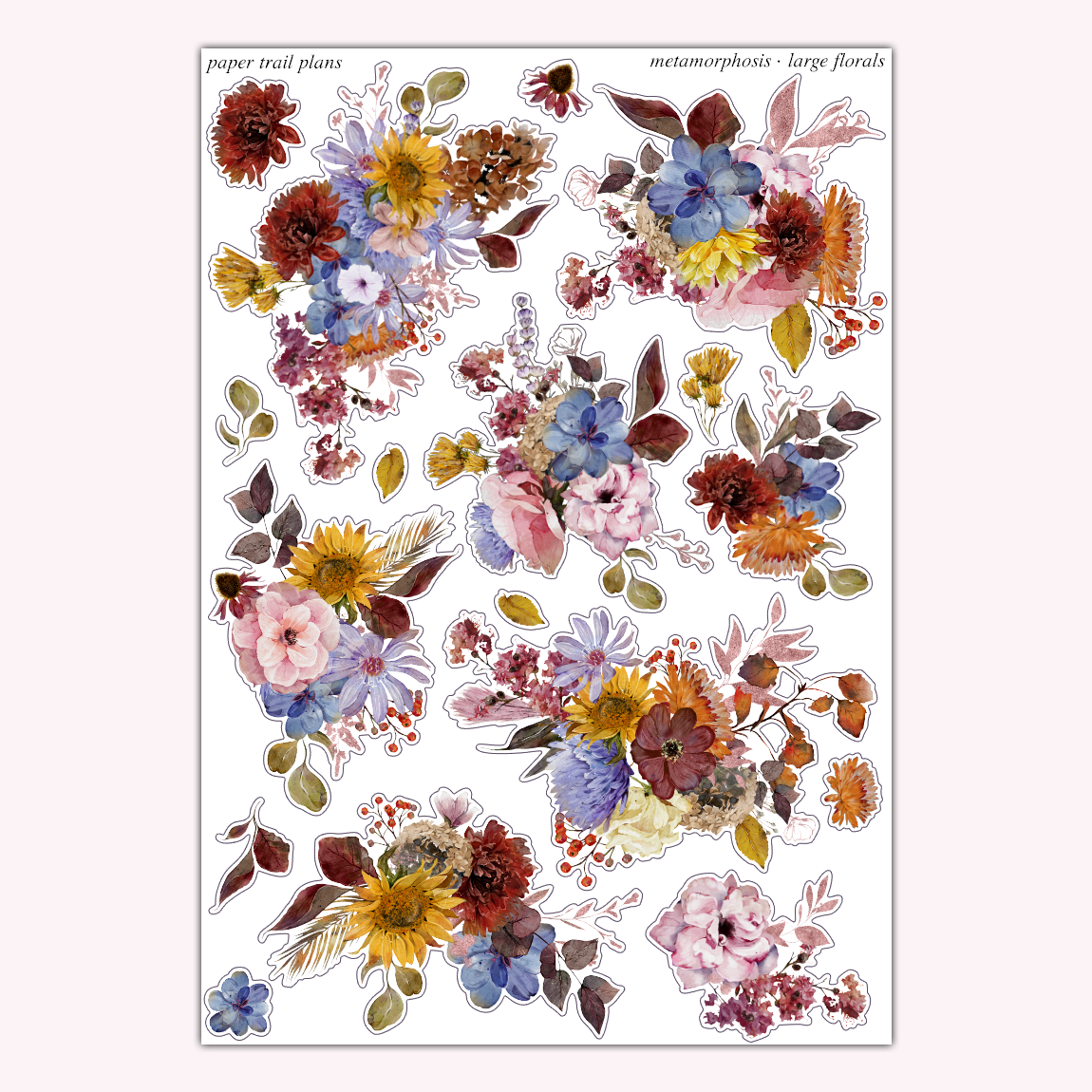 Metamorphosis - Large Florals