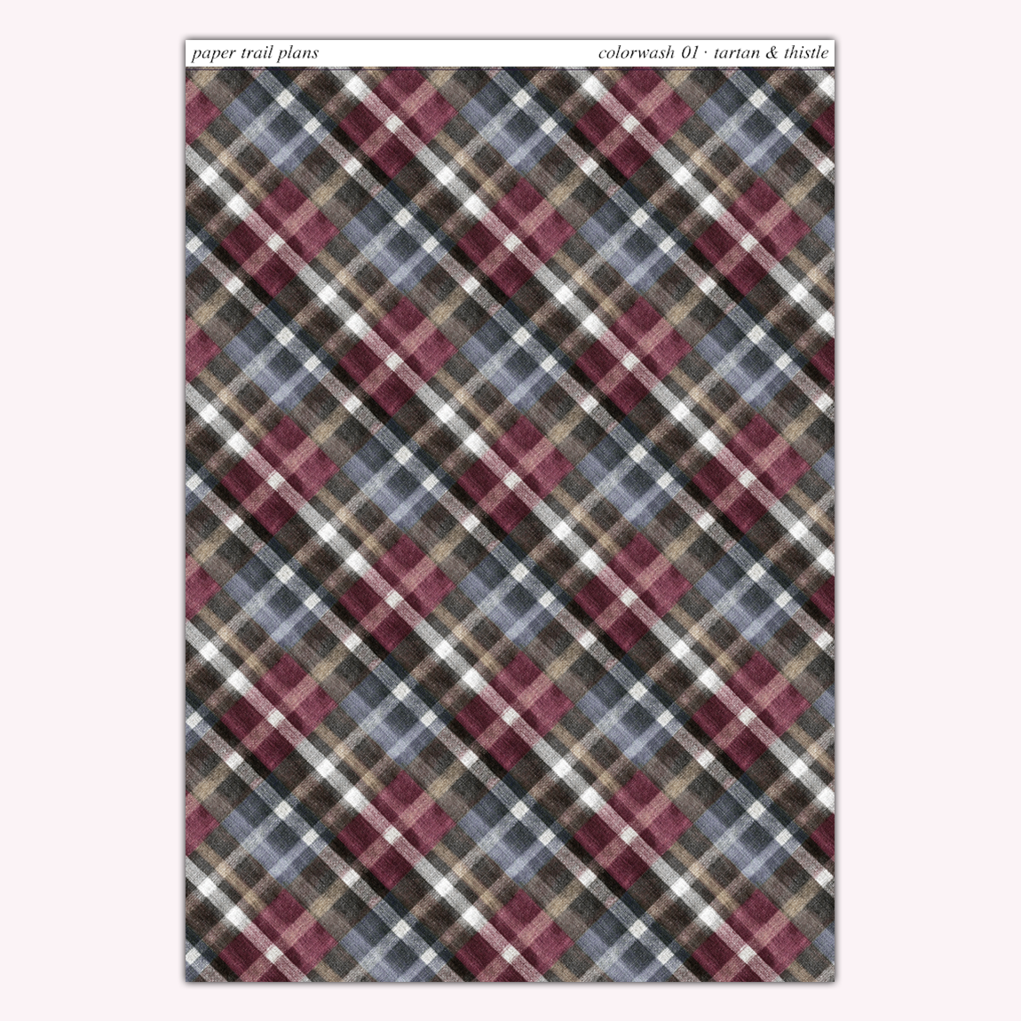 Tartan & Thistle - Colorwash 01